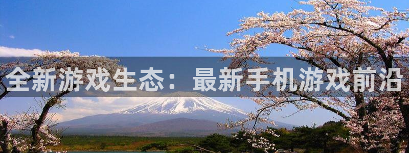 赢咖娱乐网页版地址