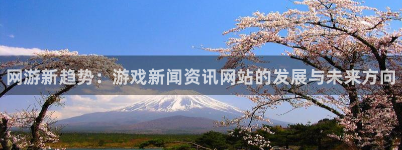 赢咖娱乐官方平台：网游新趋势：游戏新闻资讯网站的发展与未来方