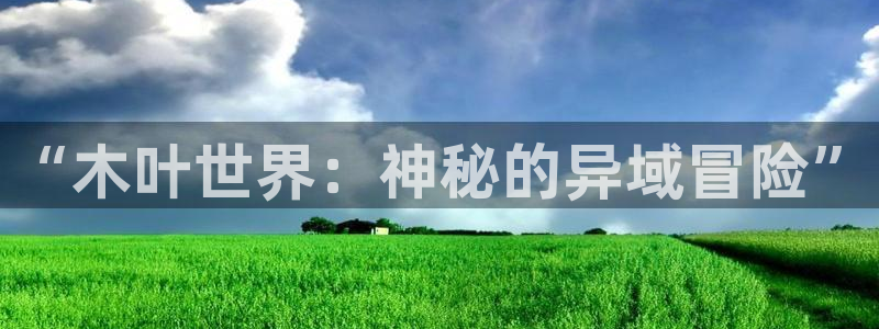 赢咖娱乐注册服务条款：“木叶世界：神秘的异域冒险”