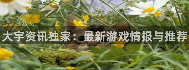 赢咖娱乐注册登录平台：大宇资讯独家：最新游戏情报与推荐