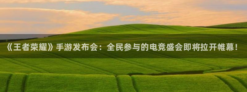 赢咖娱乐登录：《王者荣耀》手游发布会：全民参与的电竞盛会即将
