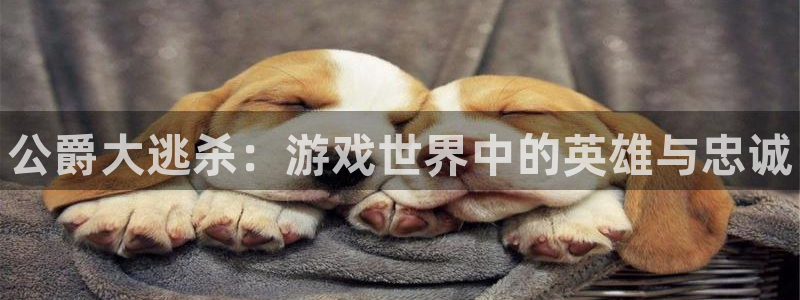 赢咖娱乐2首页登录：公爵大逃杀：游戏世界中的英雄与忠诚