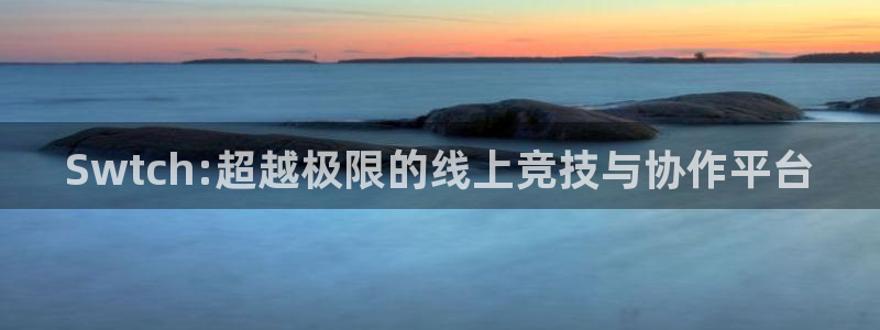 赢咖娱乐主管：Swtch:超越极限的线上竞技与协作平台