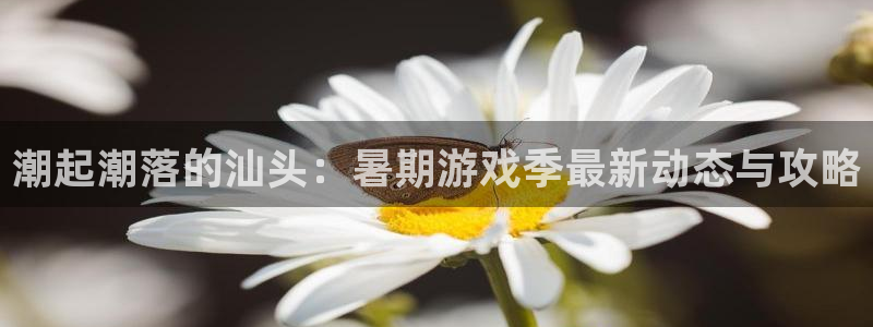 赢咖娱乐开户测速：潮起潮落的汕头：暑期游戏季最新动态与攻略