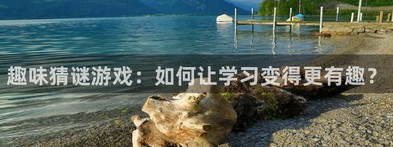 赢咖娱乐主管：趣味猜谜游戏：如何让学习变得更有趣？