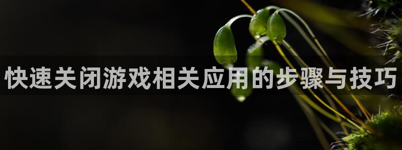 赢咖娱乐平台登录：快速关闭游戏相关应用的步骤与技巧