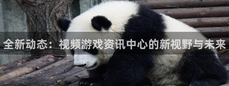 赢咖娱乐登陆：全新动态：视频游戏资讯中心的新视野与未来