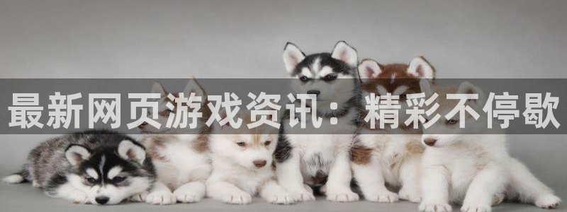 赢咖娱乐平台官网登录：最新网页游戏资讯：精彩不停歇