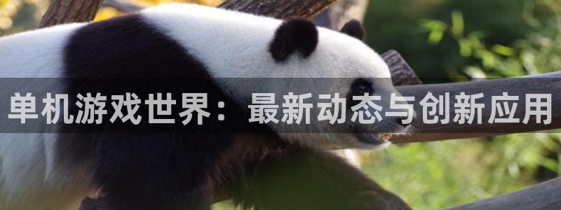 赢咖娱乐登录地址：单机游戏世界：最新动态与创新应用